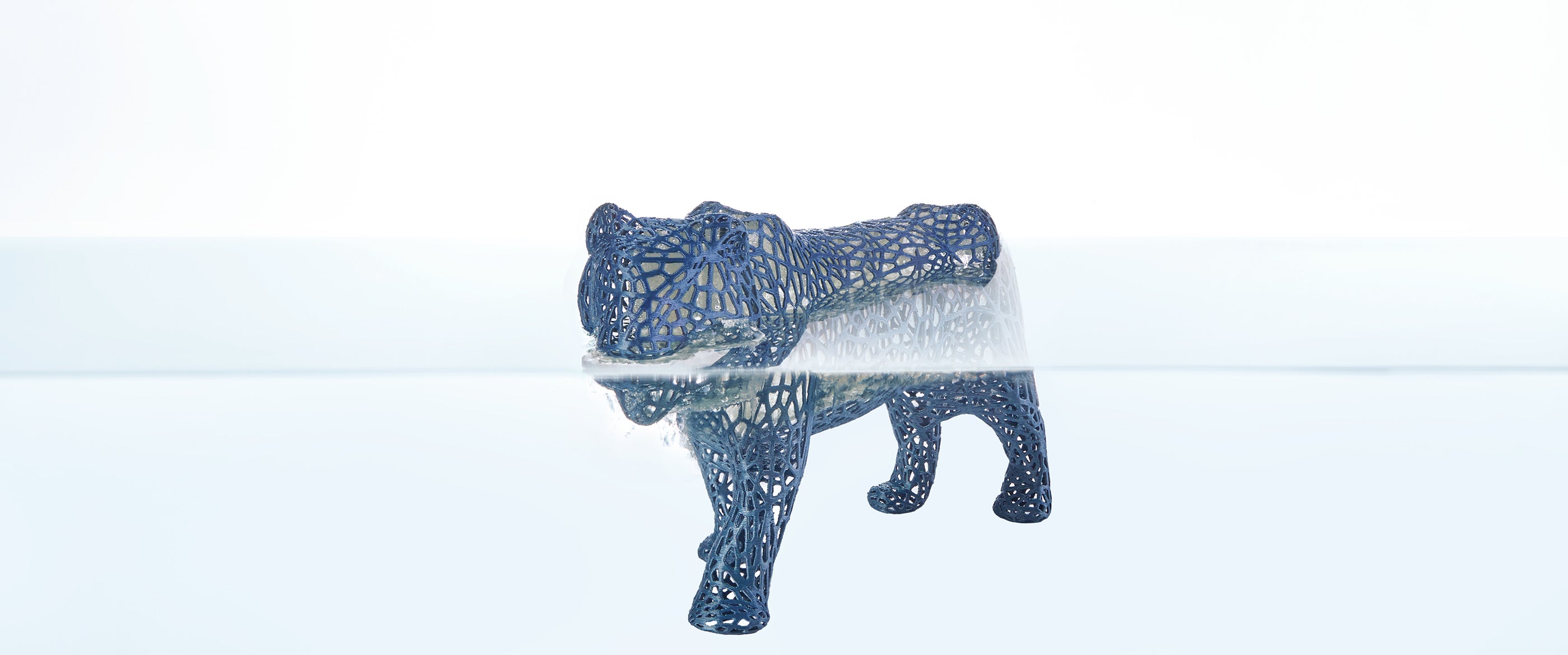 ANYCUBIC-PL