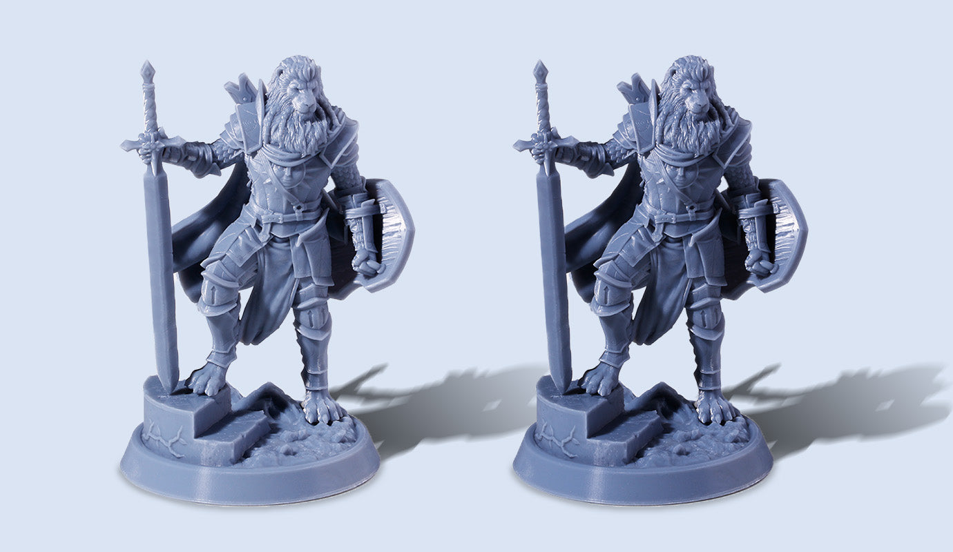 ANYCUBIC-PL