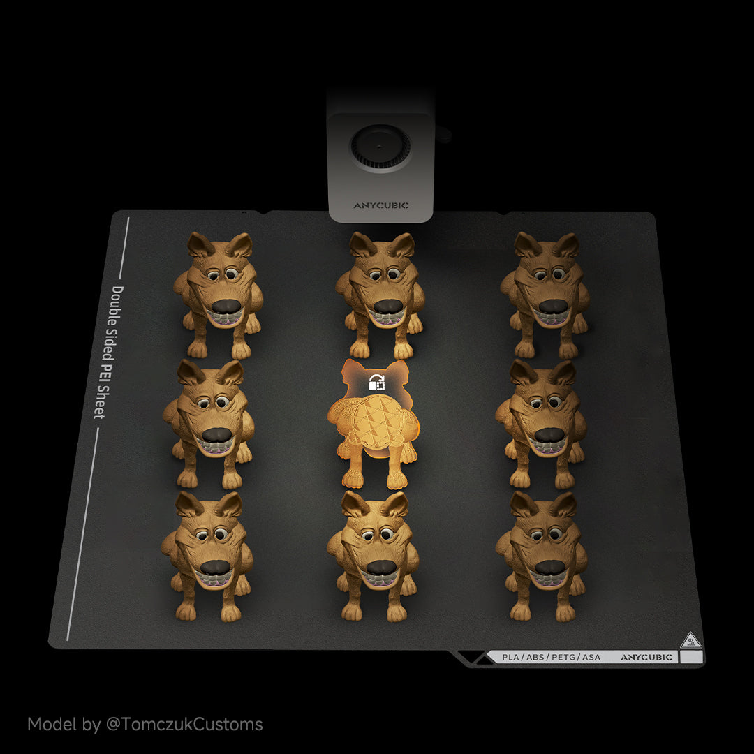 ANYCUBIC-PL