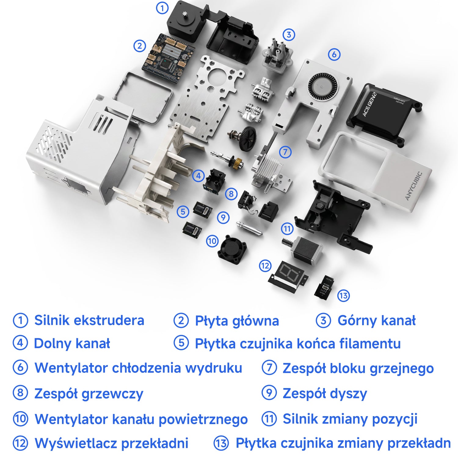 ANYCUBIC-PL