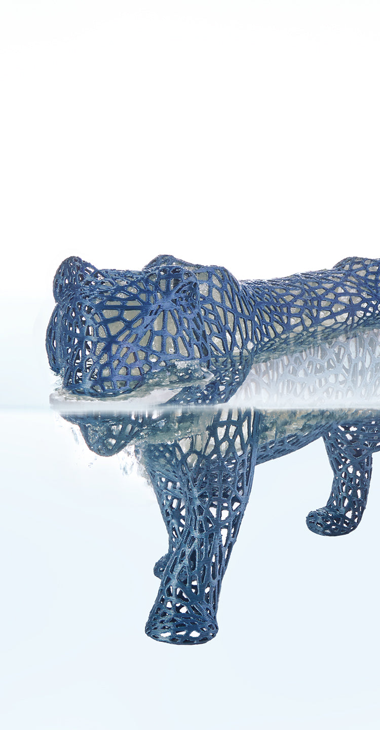 ANYCUBIC-PL