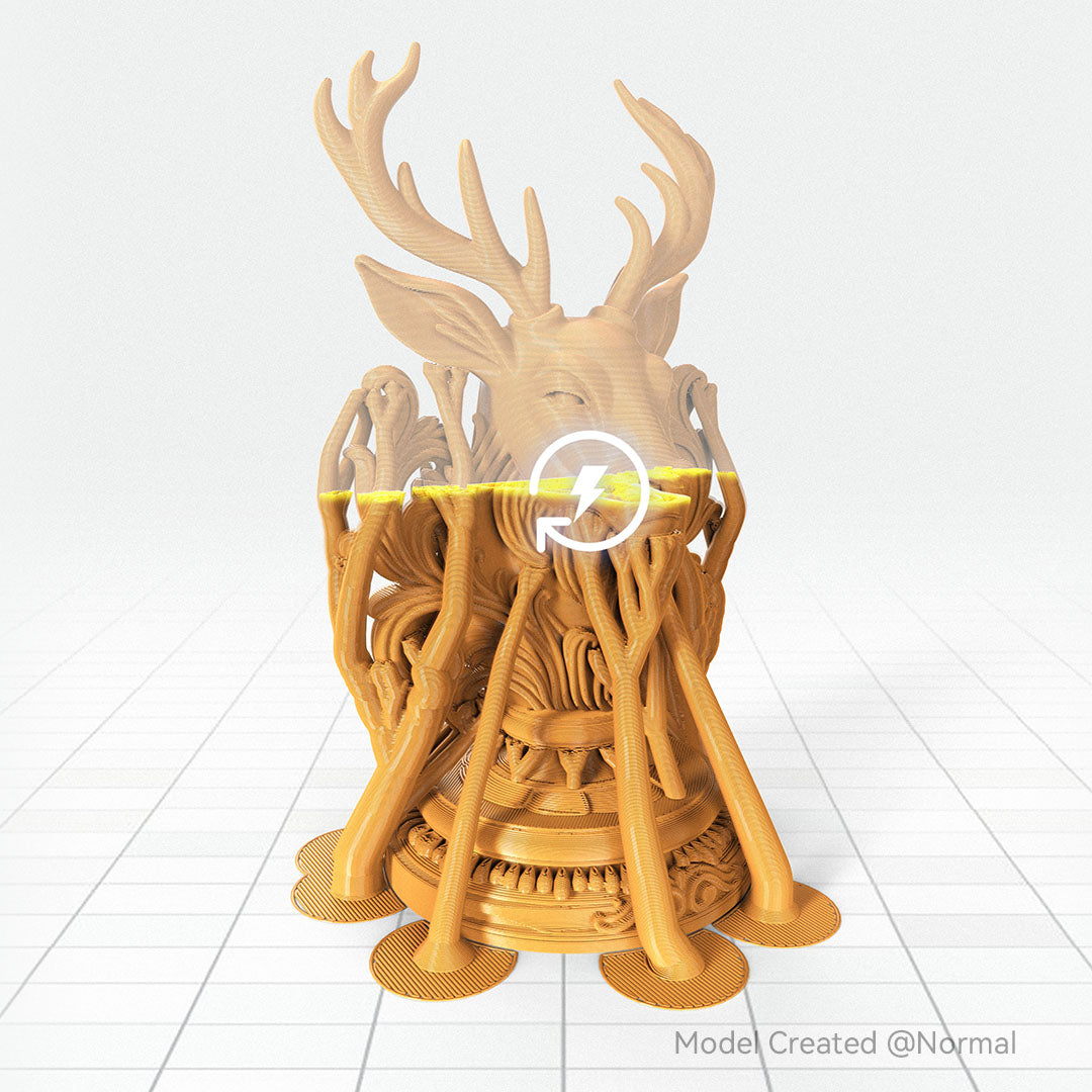 ANYCUBIC-PL