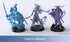 ANYCUBIC-PL